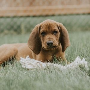 Meet your Posher, Clint